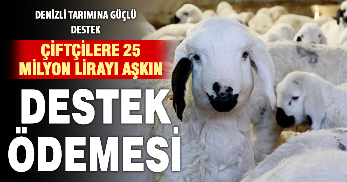 Denizli’de çiftçilere 25 milyon lirayı aşkın destek ödemesi
