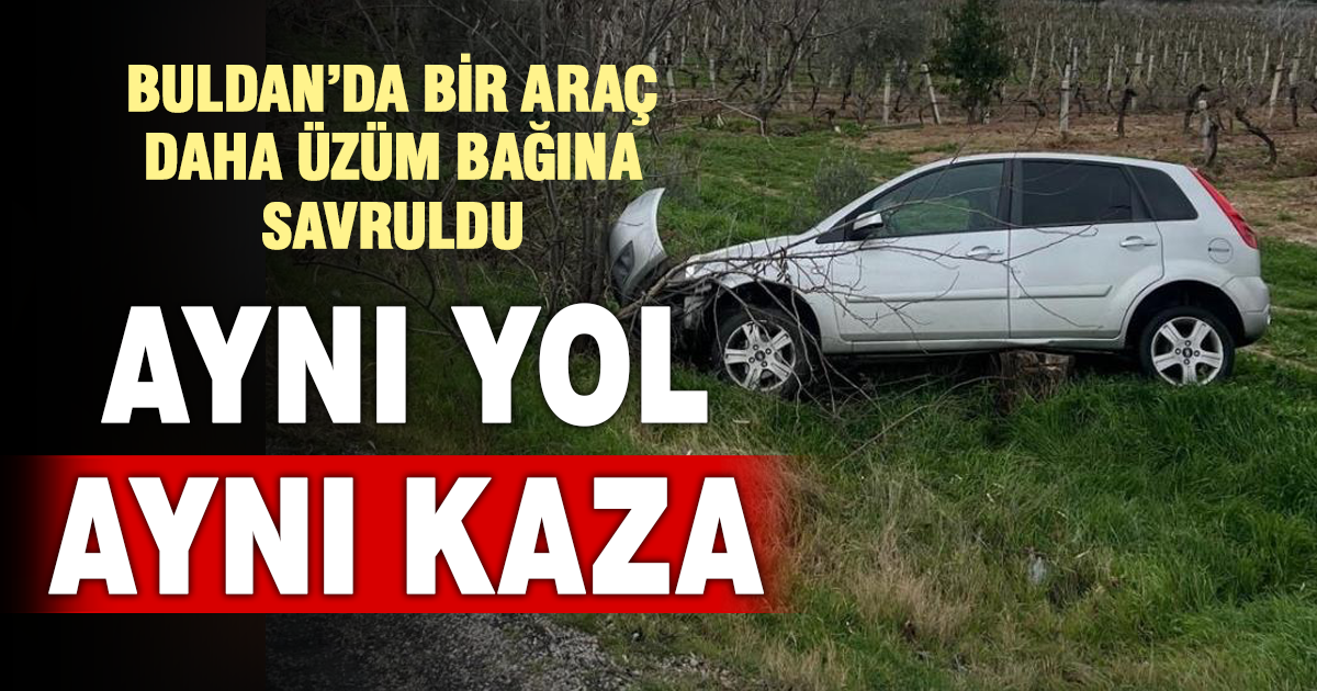 Buldan’da aynı yolda ikinci kaza, otomobil üzüm bağına uçtu 