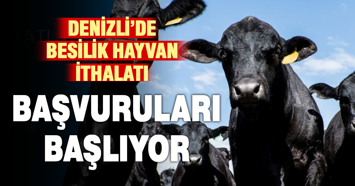 Denizli’de 2026 yılı besilik hayvan ithalatı başvuruları başladı