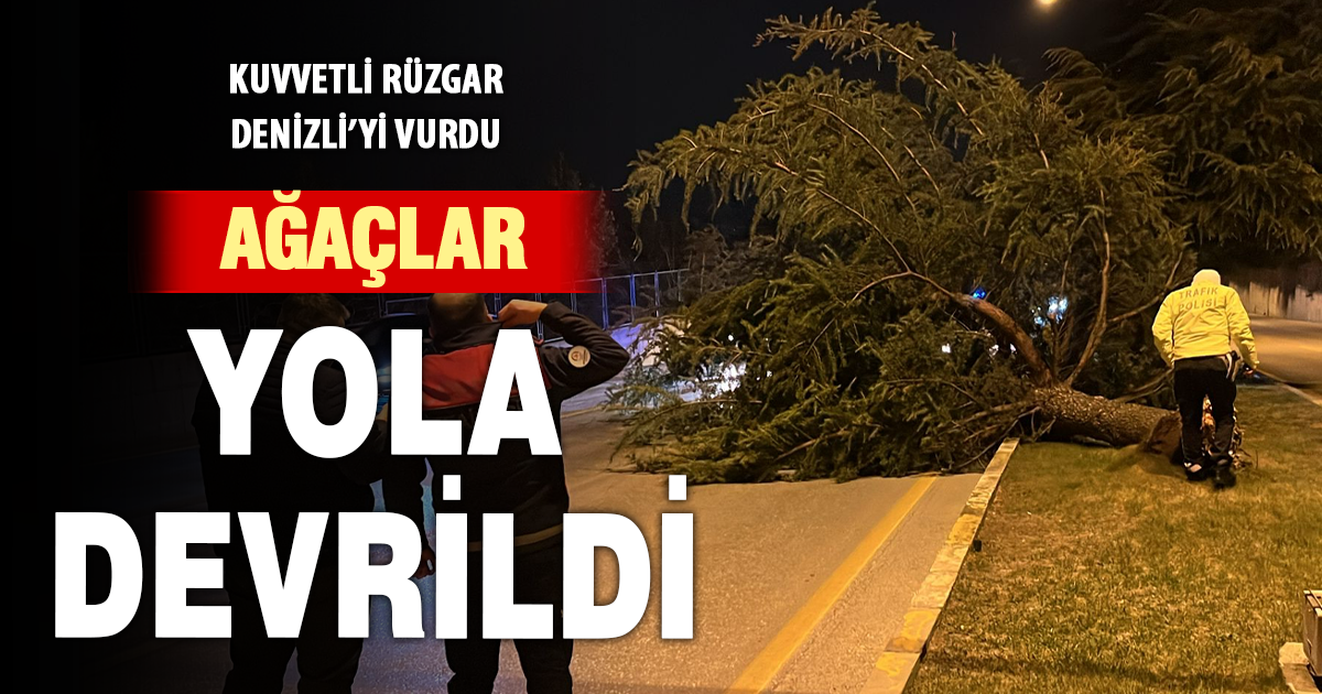 Denizli’de kuvvetli rüzgar hayatı olumsuz etkiledi