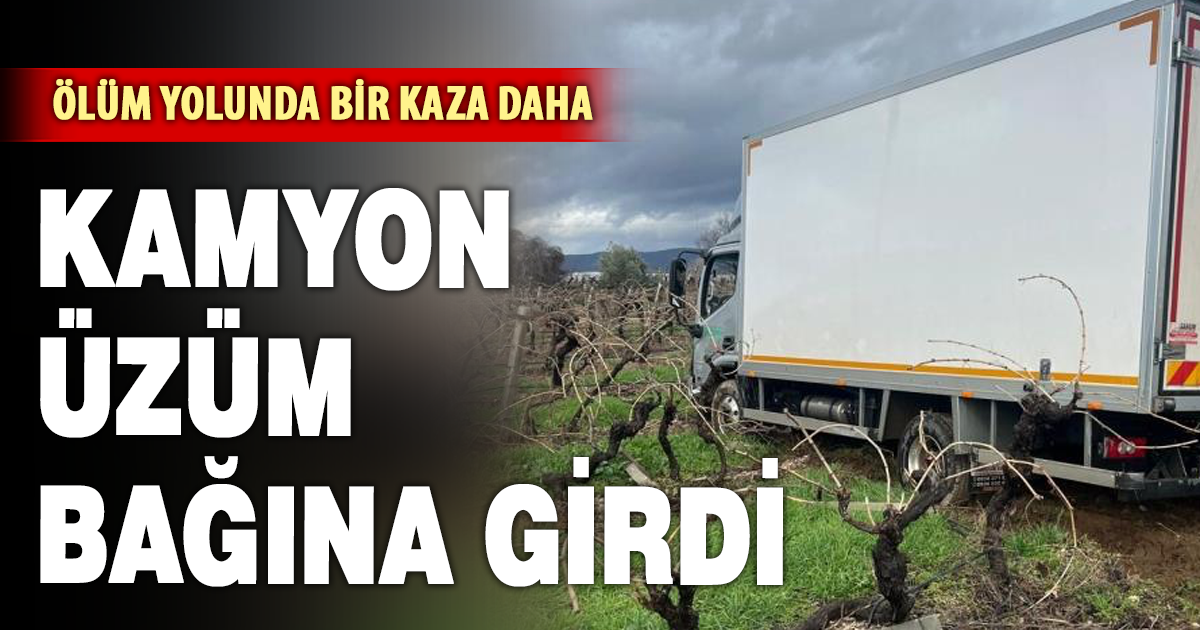 Sabıkalı yolda kamyon üzüm bağına girdi 
