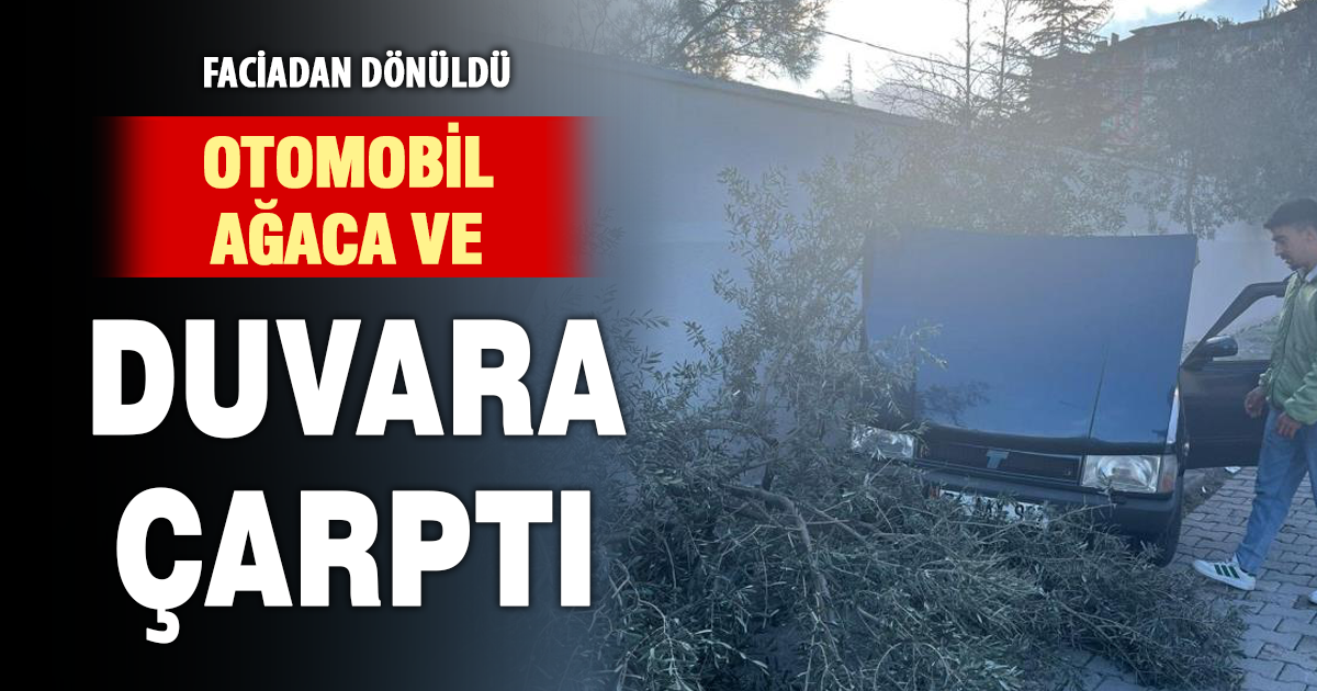 Süratli otomobil önce ağaca sonra duvara çarptı 