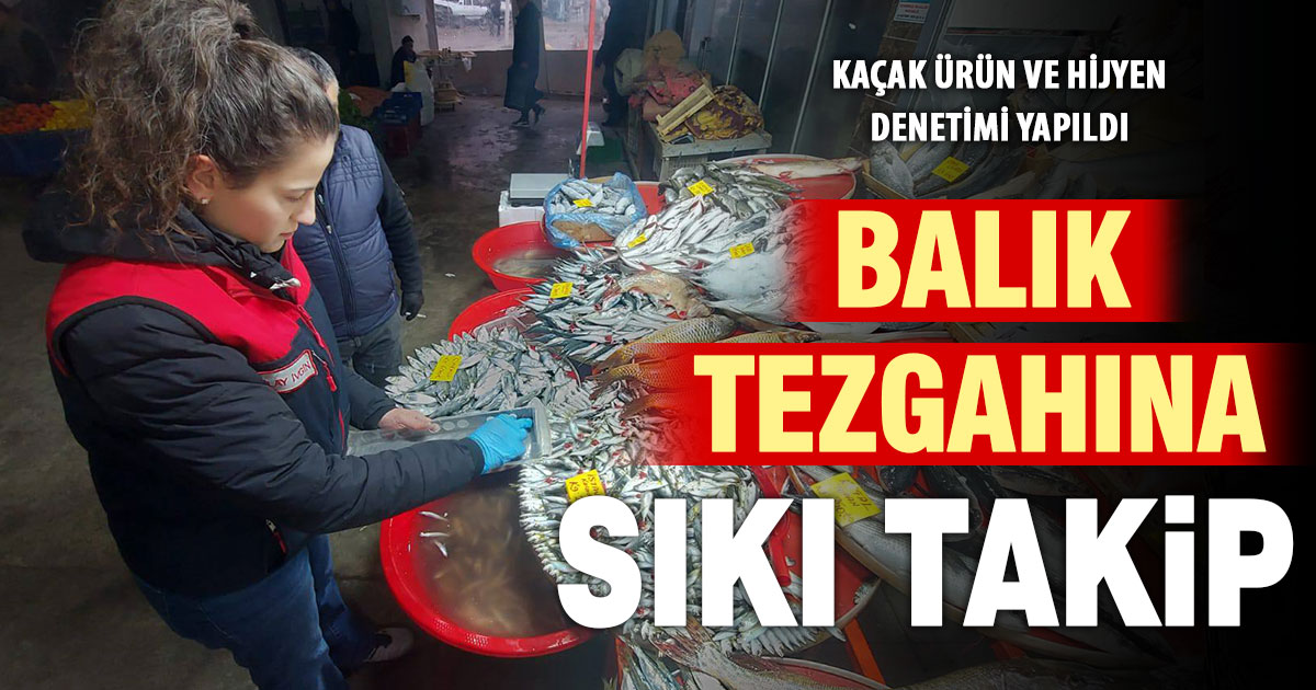Denizli’de balık satıcılarına su ürünleri denetimi