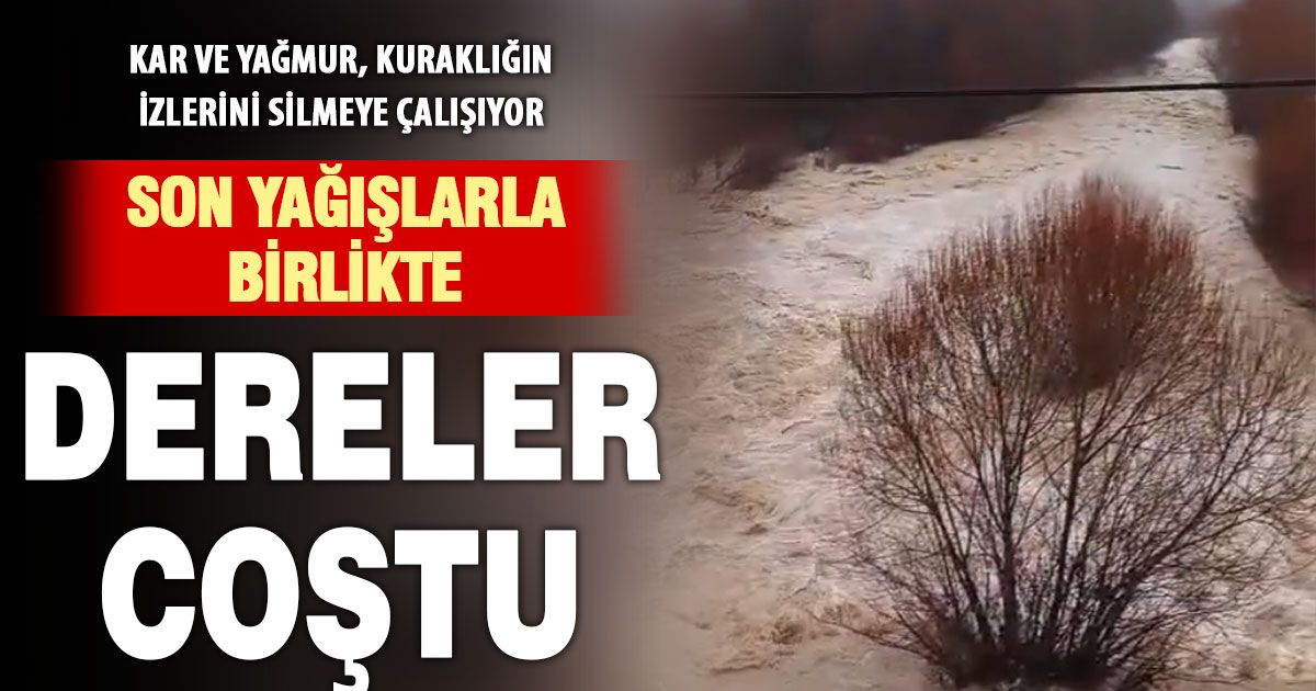 Son yağışlarla birlikte dereler coştu