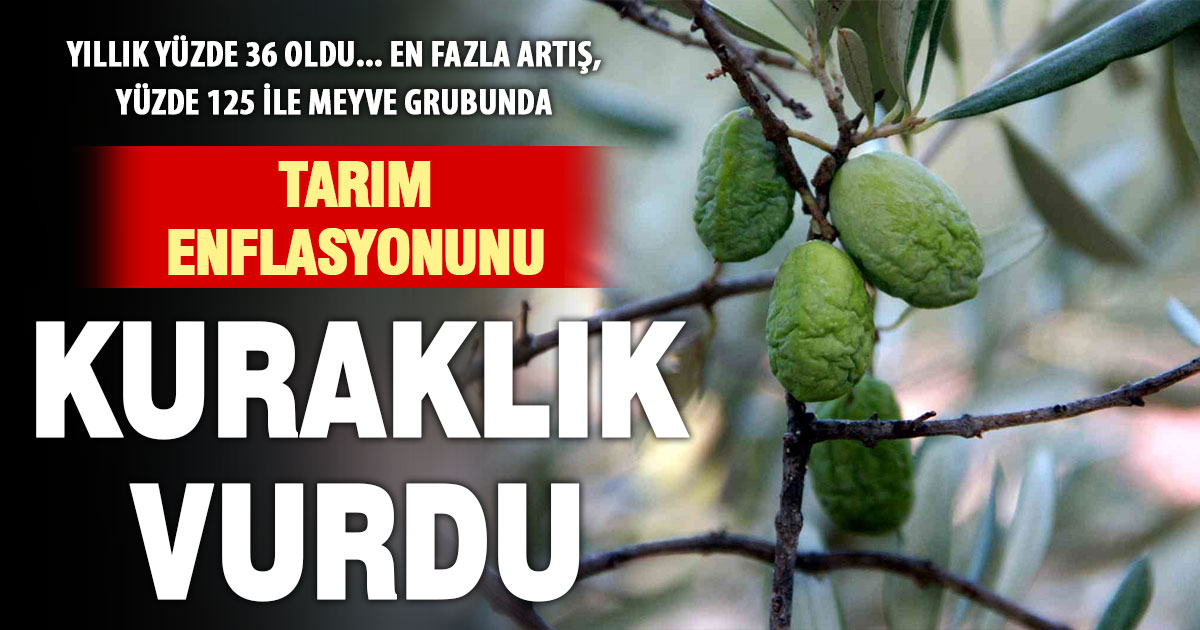 Tarım enflasyonunda kuraklık etkisi