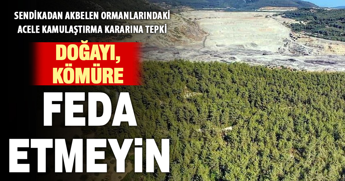 Akbelen’deki yeni “acele kamulaştırma” kararına tepki: “Rant için doğamızı feda etmeyin”