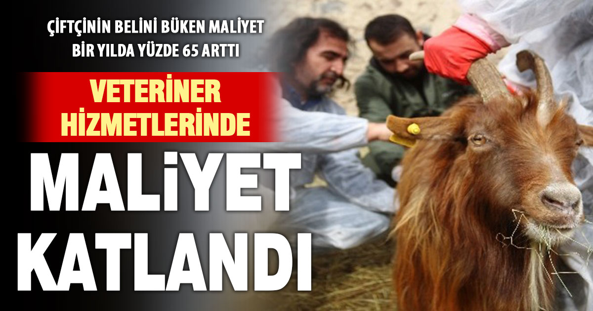 Tarımsal girdi maliyetlerinde veterinerlik hizmetleri yüzde 65’le rekor kırdı