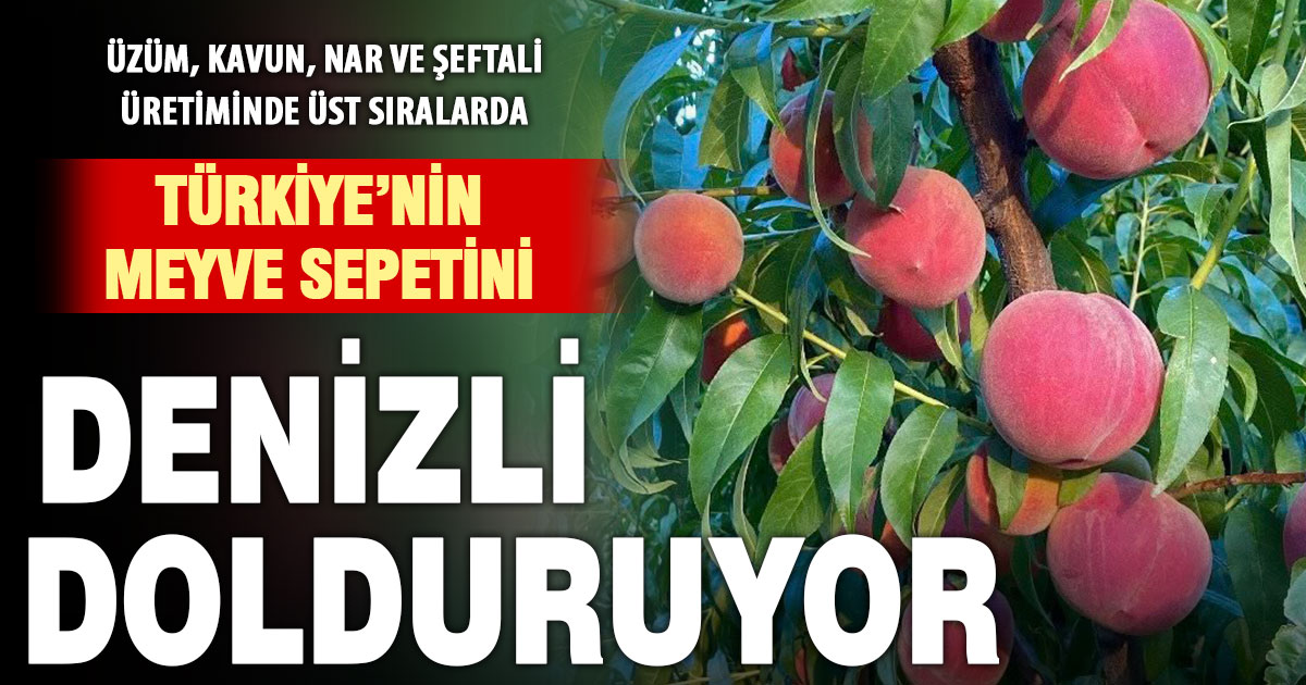 Türkiye’nin meyve sepetini Denizli renklendiriyor