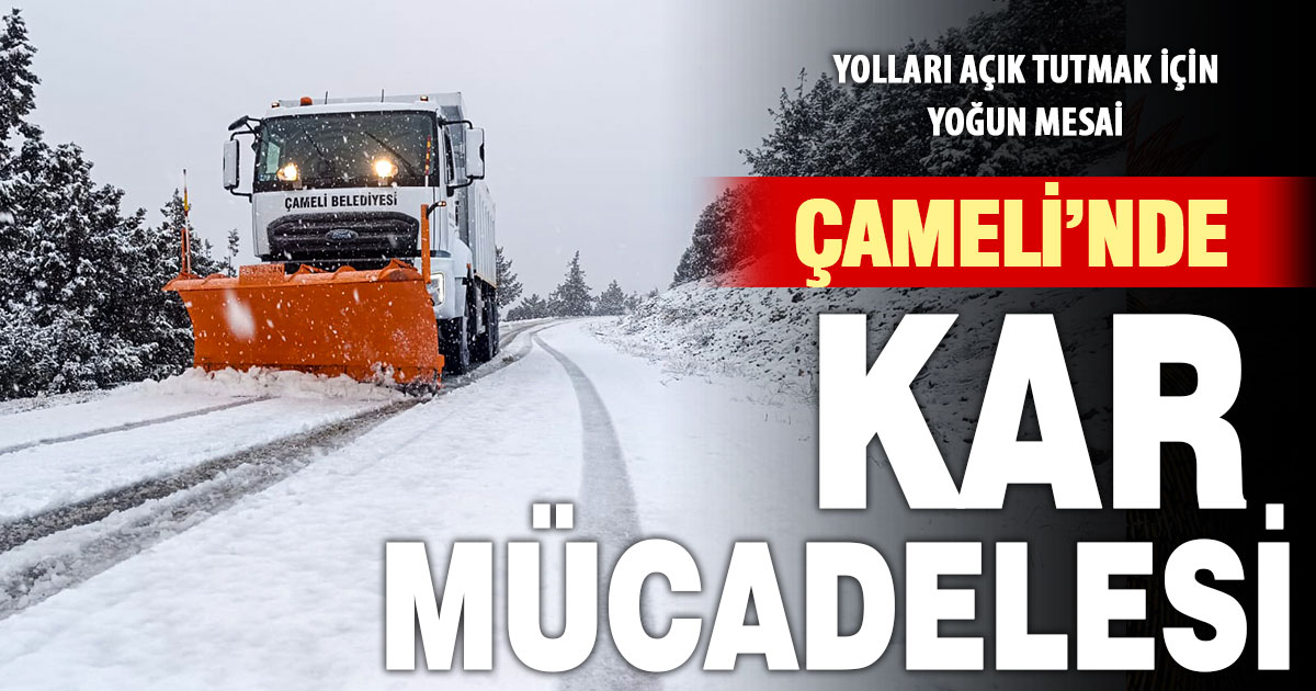 Çameli’nde kar mücadelesi