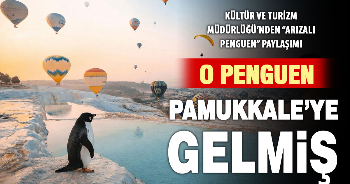 İnterneti kasıp kavuran “Arızalı penguen” Pamukkale’de görüldü!