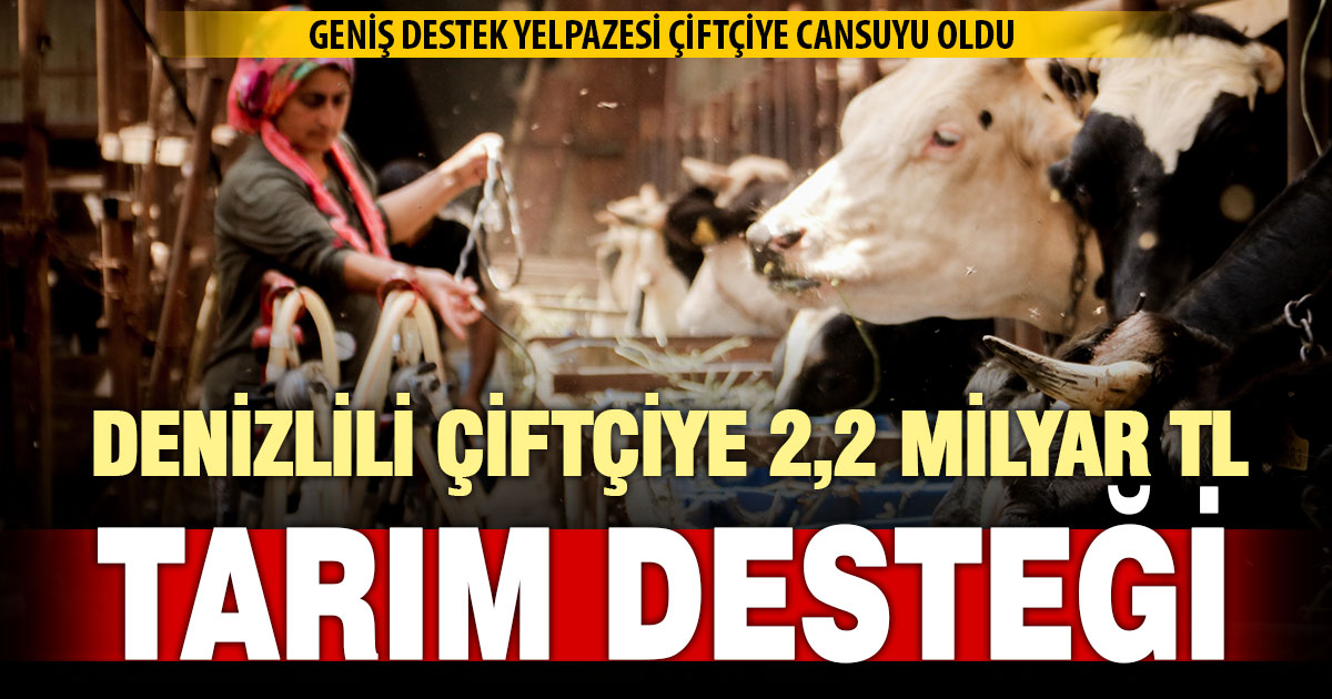 2025’te tarım destekleri rekor kırdı: Denizlili çiftçiye 2 milyar 196 milyon TL