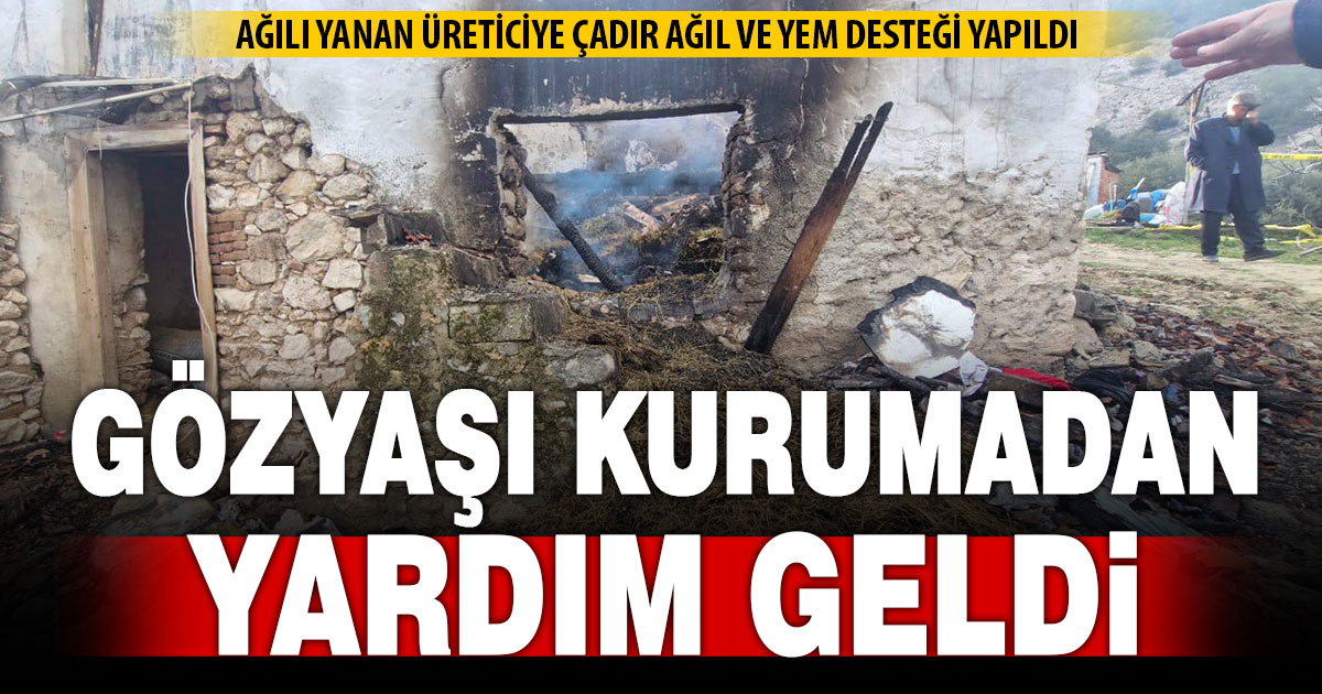 Ağılı yandığı için gözyaşına boğulan üreticiye çadır ve yem desteği