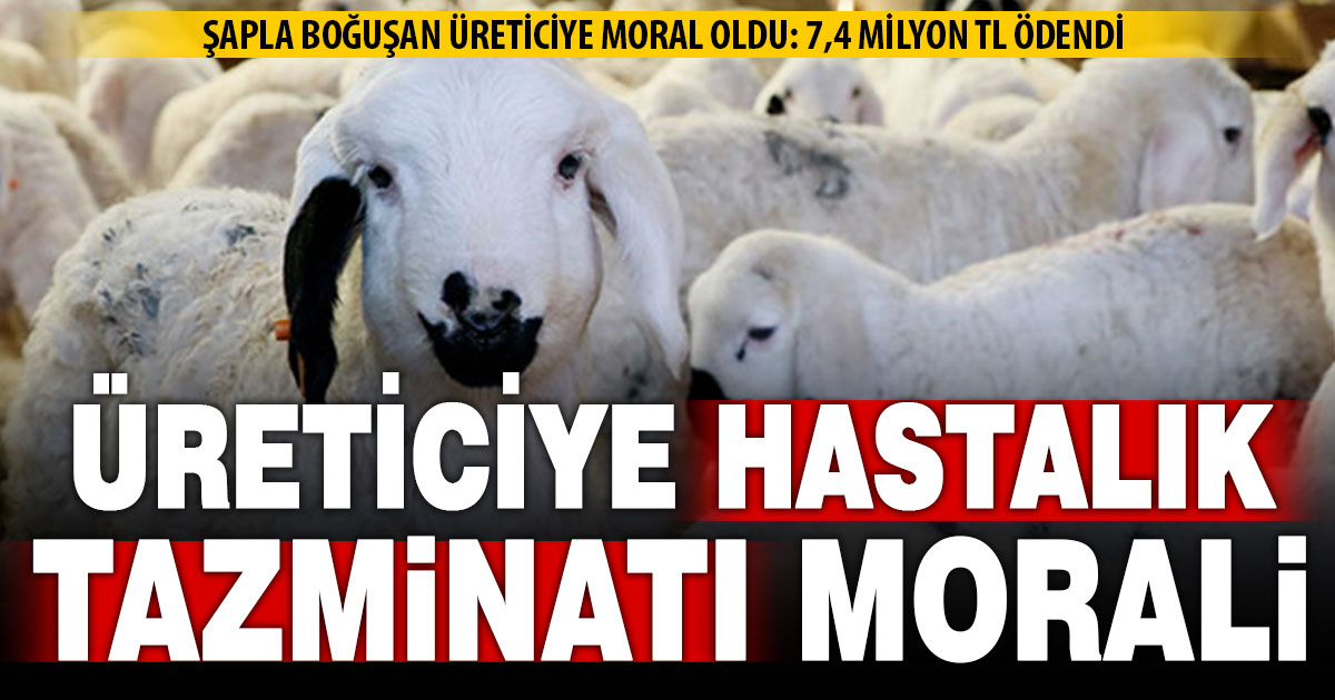 Denizlili üreticiye 7,4 milyon hastalık tazminatı ödemesi yapıldı