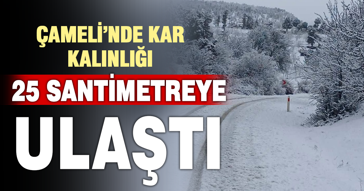 Kar kalınlığı 25 santimetreye ulaşan Çameli’nde saha çalışmalar devam ediyor