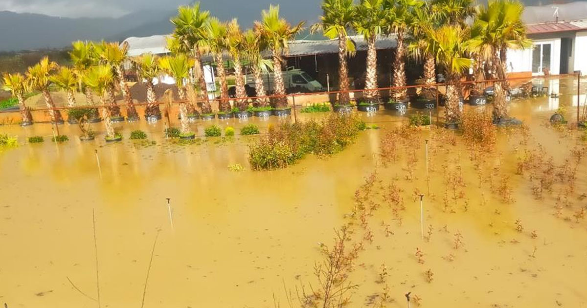 İzmir sağanağa teslim: Yollar ve tarım arazileri sular altında