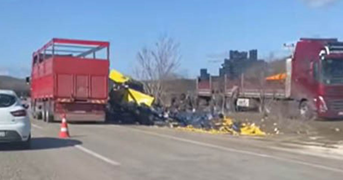 Burdur’da limon yükü tır şarampole devrildi  