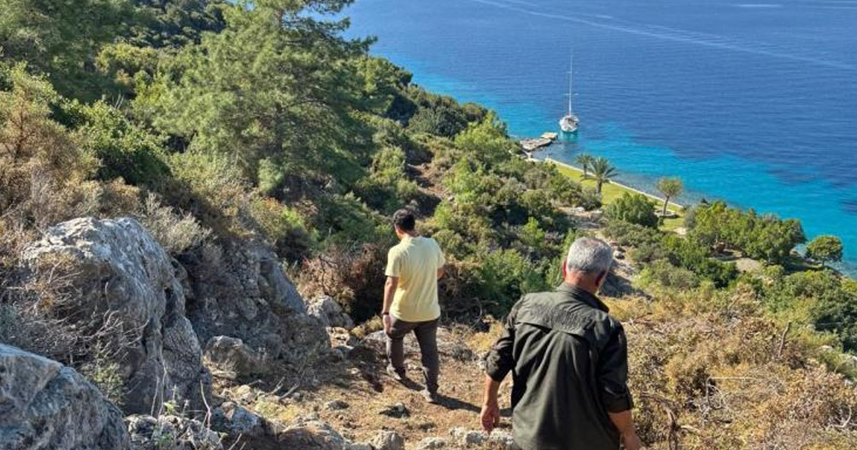 Orman yürüyüş yolları belirleniyor