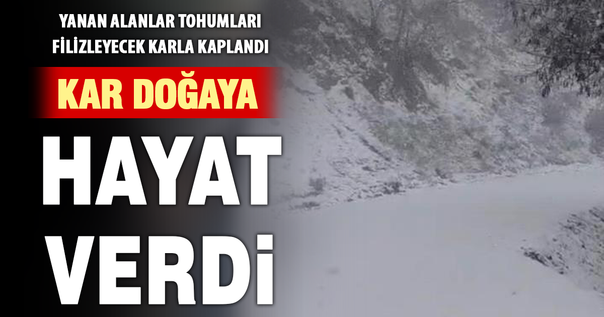 Yazın yanan orman sahası beyaza büründü 
