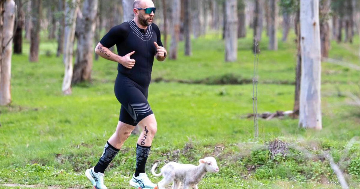  Triatlon yarışında parkura giren kuzu, renkli görüntülere neden oldu