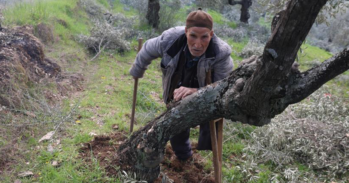 Film sahnesi değil gerçek hayat