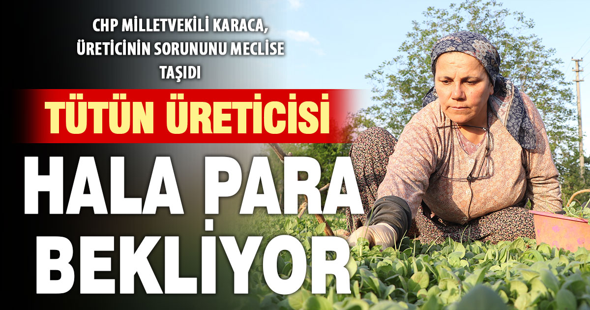 CHP Milletvekili Karaca’dan tütüncü için çağrı