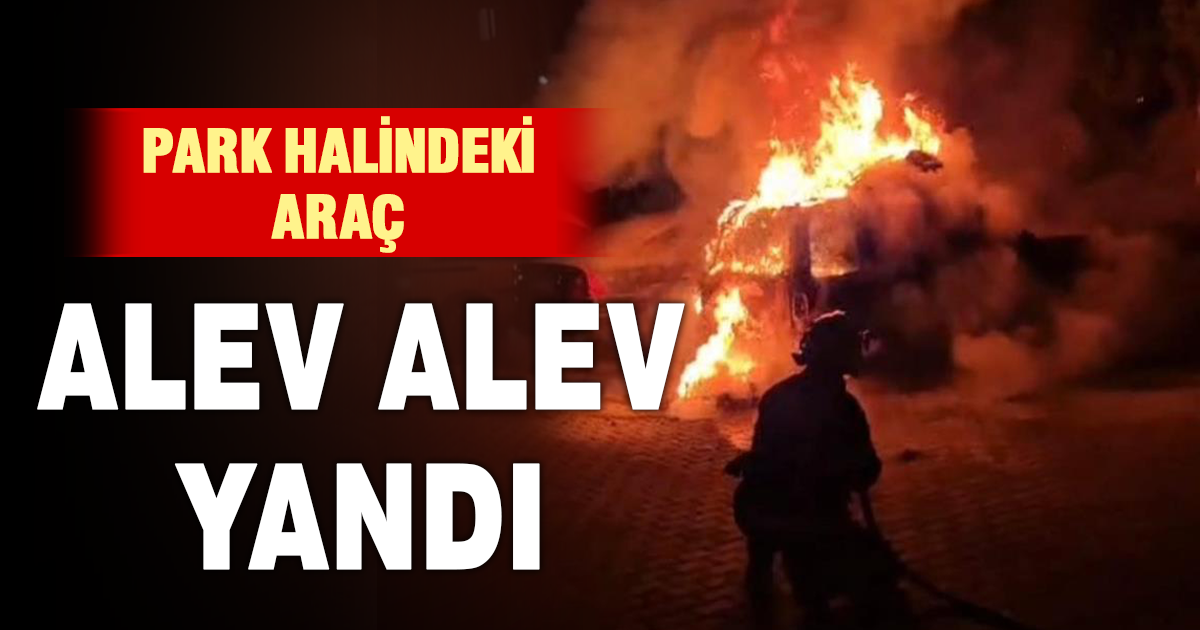 Park halindeki araç alev alev yandı