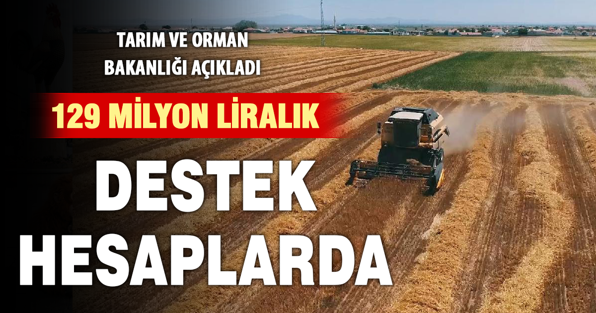 Kırsal kalkınma destek ödemeleri hesaplara aktarılmaya başladı