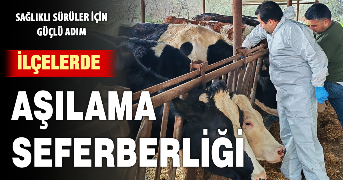 Denizli’de ilkbahar şap aşılama seferberliği sürüyor