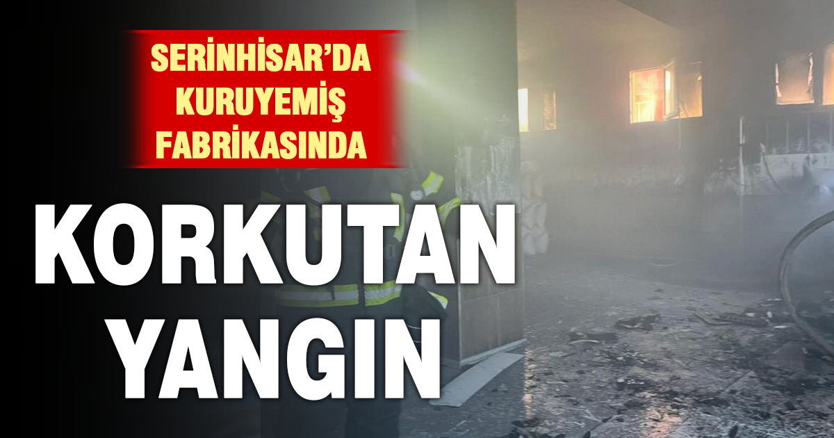 Kuruyemiş fabrikasında korkutan yangın