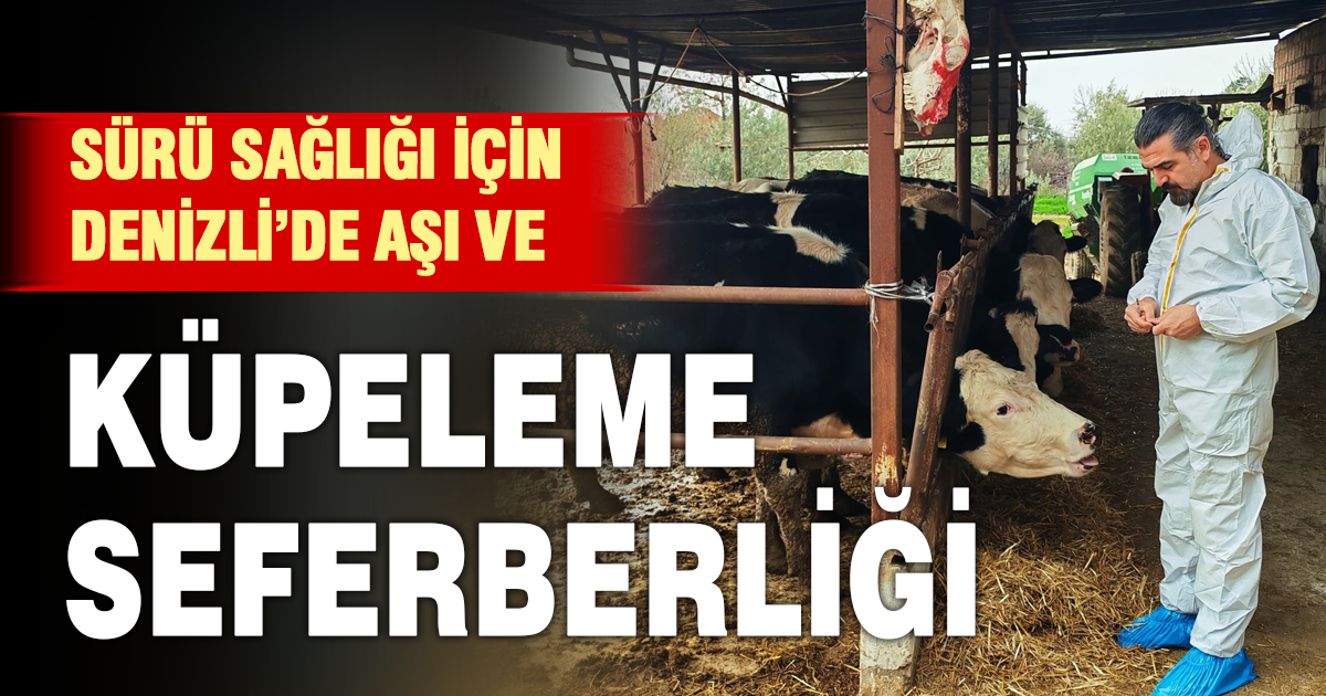 Denizli’de Aşı ve Küpeleme Seferberliği