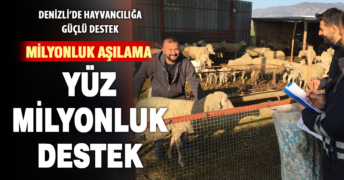 Denizli’de hayvancılığa güçlü destek