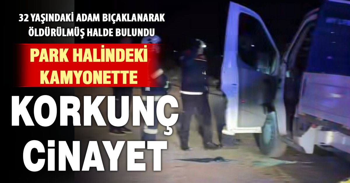 Park halindeki kamyonette korkunç cinayet