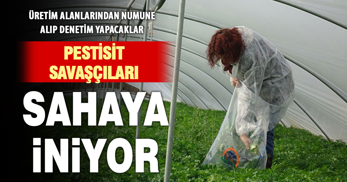 Denizli’de pestisit denetimleri için ekipler sahaya indi