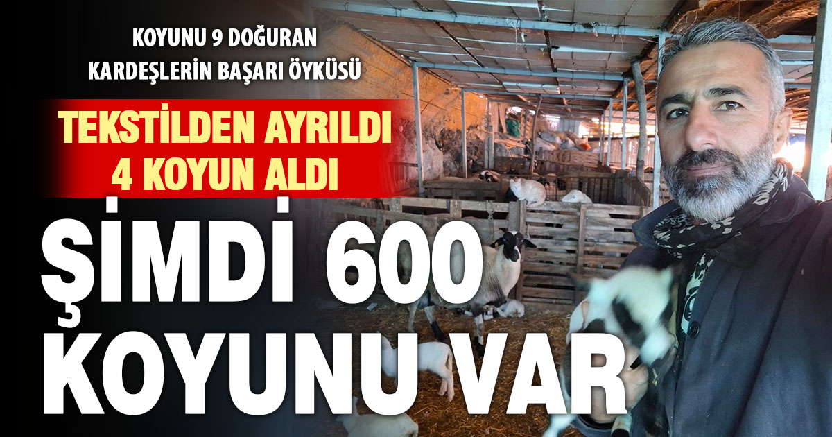 Hobi olarak 4 koyunla başlayan kardeşler 600 hayvan sayısına ulaştı  