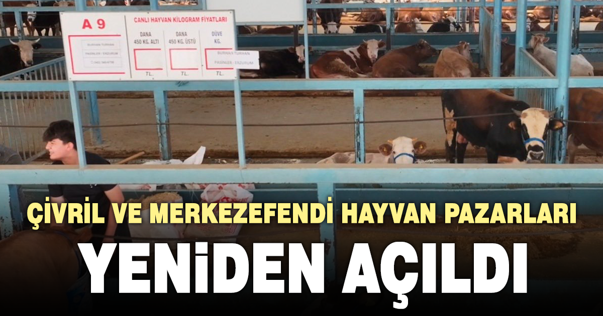 Çivril ve Merkezefendi hayvan pazarları yeniden açıldı