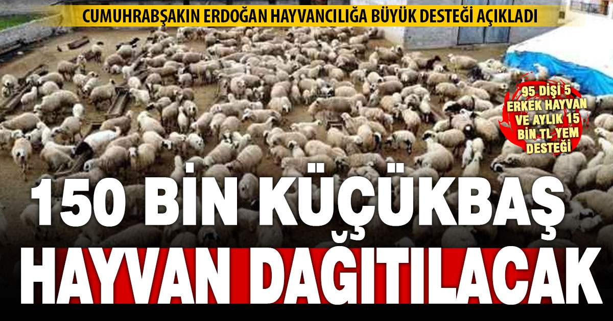 Cumhurbaşkanı Erdoğan üreticiye 150 bin küçükbaş hayvan dağıtılacağını açıkladı