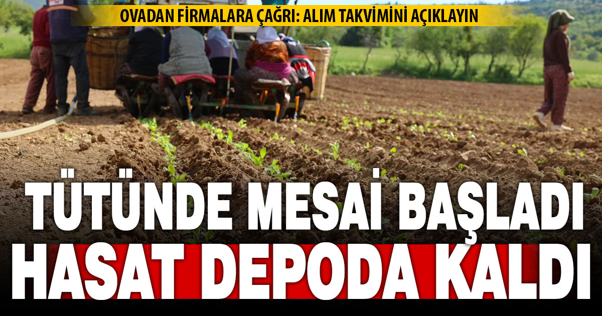 Yeni dönem mesaisi başlayan tütüncü, 2025 ürünlerinin alınmasını istiyor
