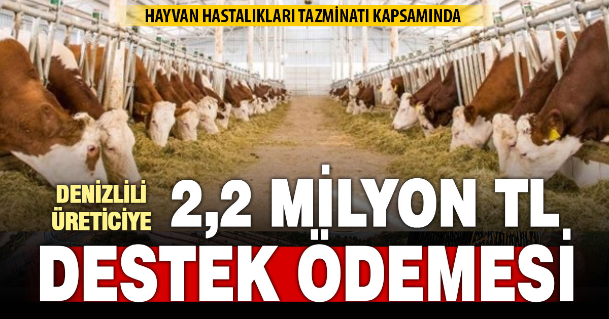 Denizli’de 10 üreticiye 2 milyon 248 bin TL hayvan hastalıkları tazminatı ödendi