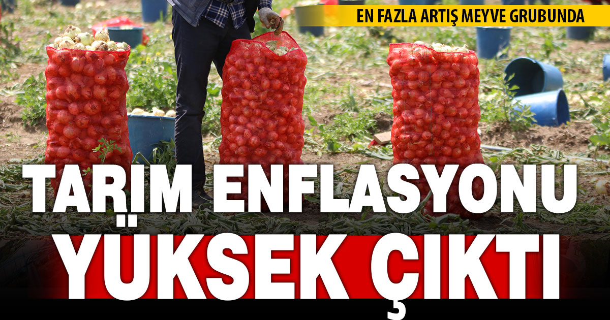 Tarım enflasyonu yıllık yüzde 43,58 oldu