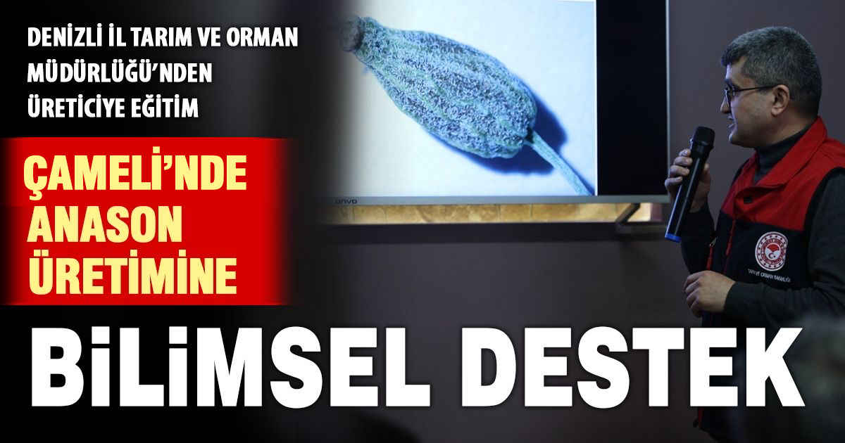 Çameli’nde çiftçiye ‘kaliteli anason yetiştirme’ eğitimi