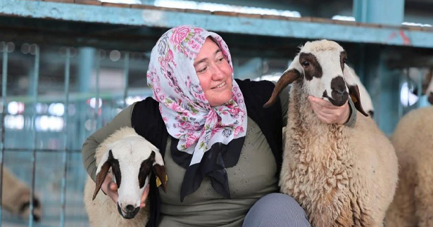 Hayvancılık desteği üreticilere umut oldu