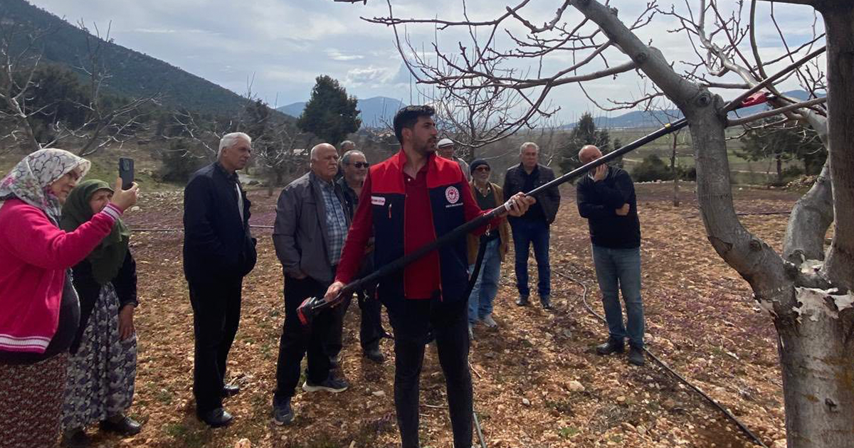 Çameli’nde Ceviz Üreticilerine Uygulamalı Budama Eğitimi