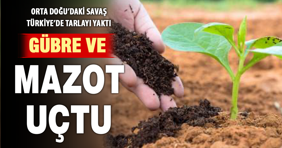 Orta Doğu’daki savaş Türkiye’de tarlayı yaktı: Gübre ve mazot uçtu