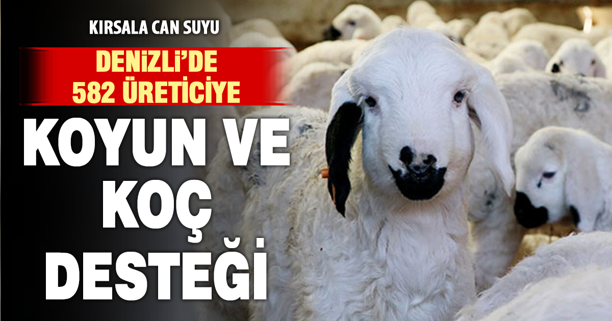 “Bereketli Sürüler Projesi” kapsamında yüzlerce üreticiye damızlık desteği