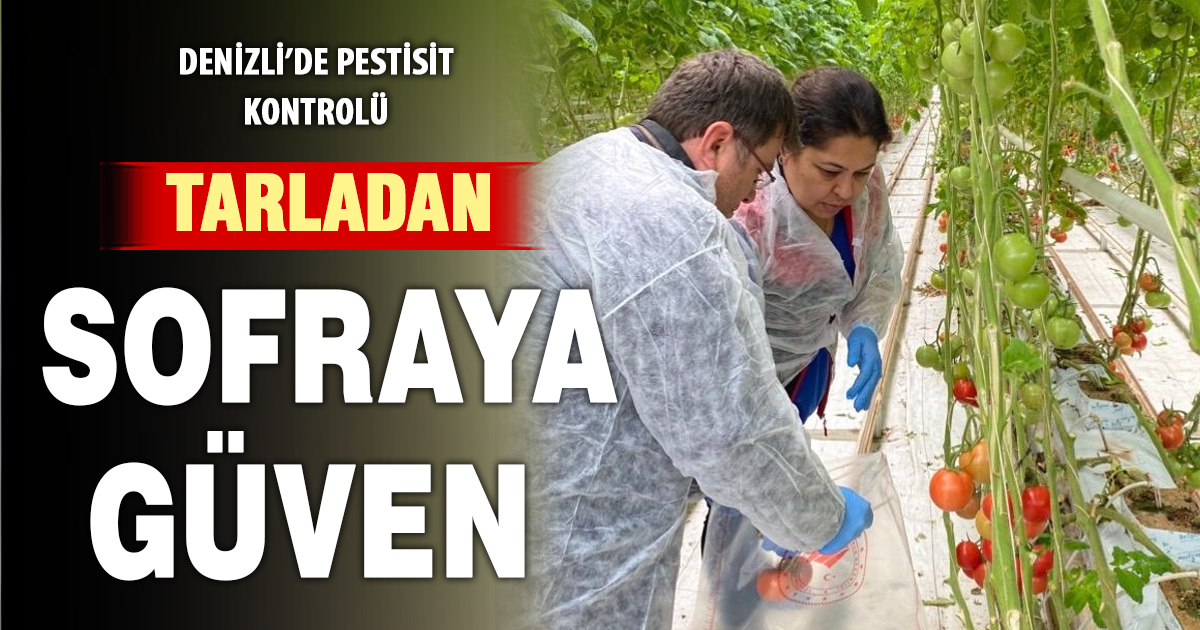 Seralarda hasat öncesi pestisit denetimleri sürüyor