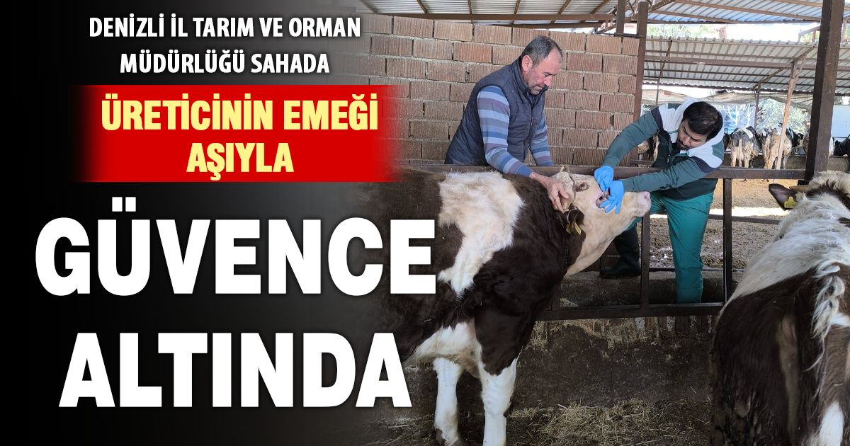Denizli İl Tarım ve Orman Müdürlüğü İlkbahar aşılama çalışmalarını sürdürüyor
