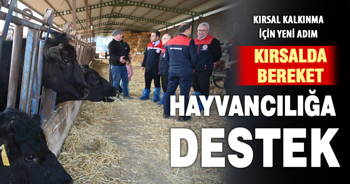 “Kırsalda Bereket, Hayvancılığa Destek” projesiyle üreticiye güçlü destek