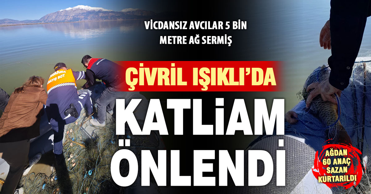 Çivril Işıklı Baraj Gölü’nde balık katliamı önlendi