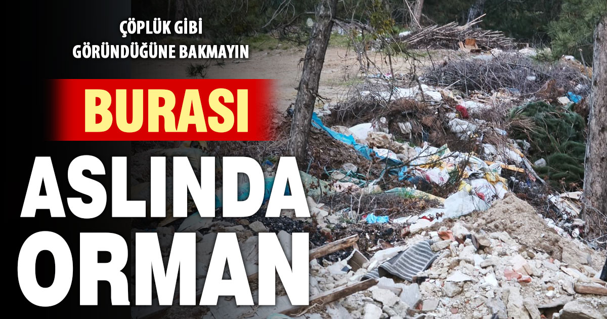 Buldan’da ormanlık alan çöplüğe dönüştü