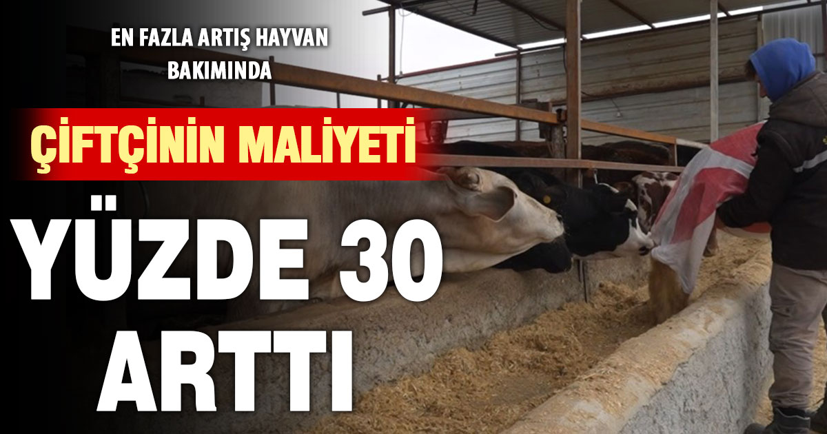 Çiftçinin girdi maliyeti yüzde 30 daha arttı